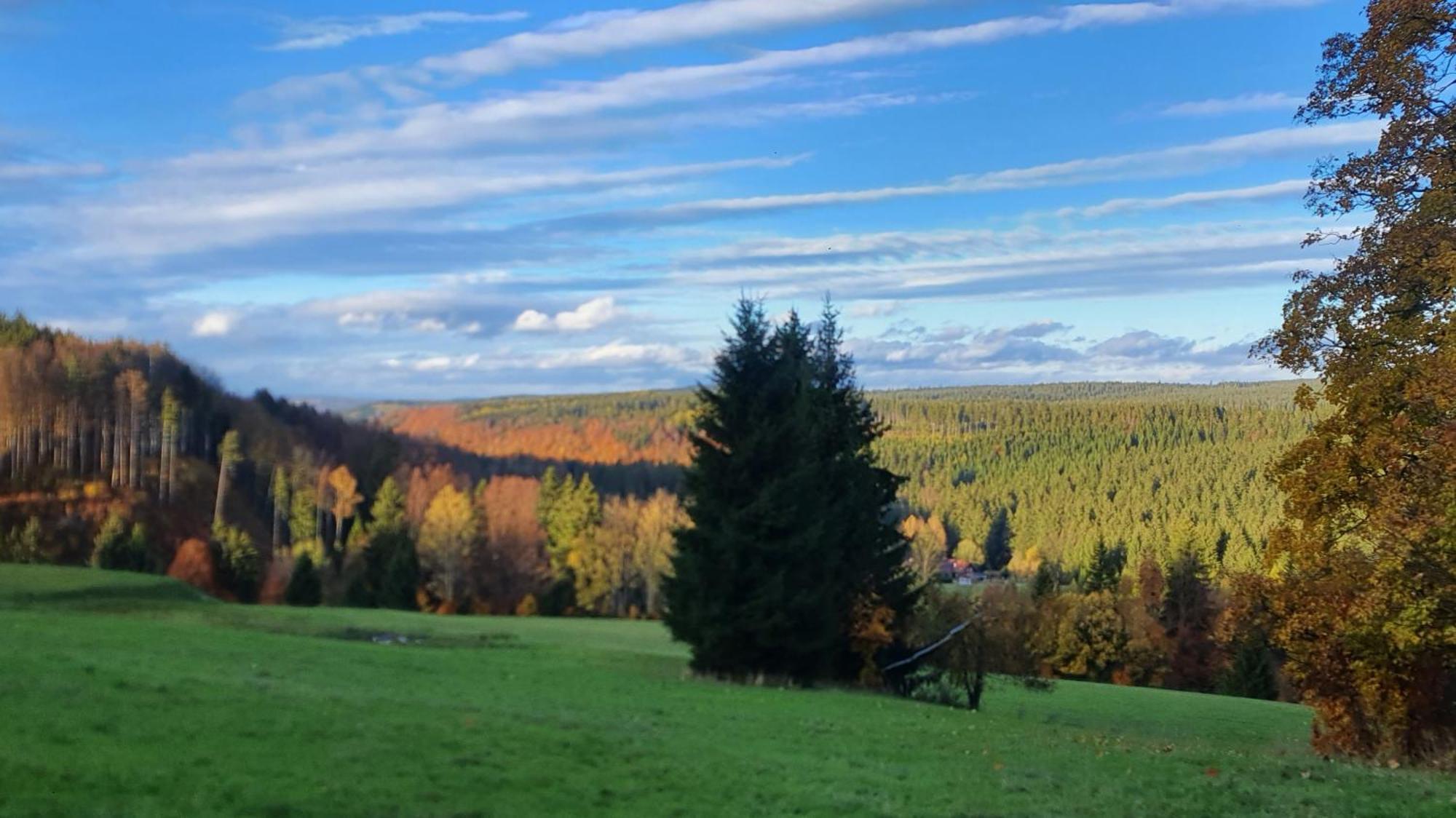 Chata Zieleniecka Bed & Breakfast Duszniki Zdrój Eksteriør bilde