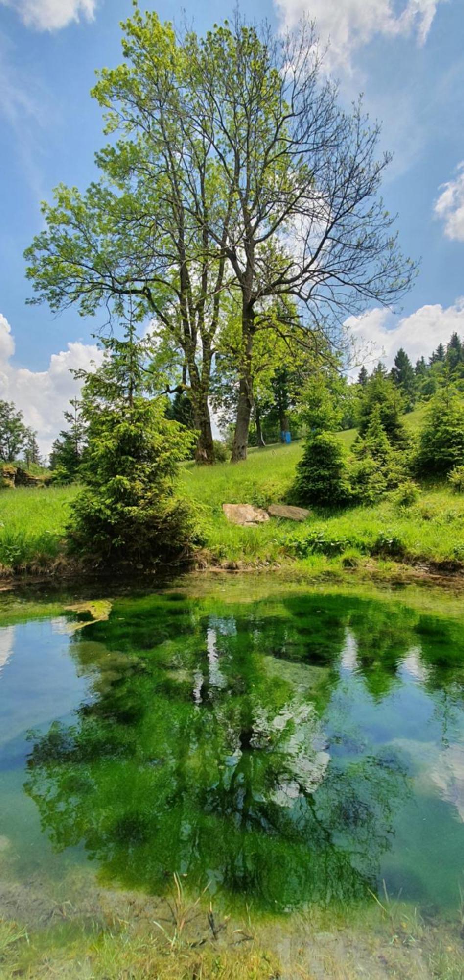 Chata Zieleniecka Bed & Breakfast Duszniki Zdrój Eksteriør bilde