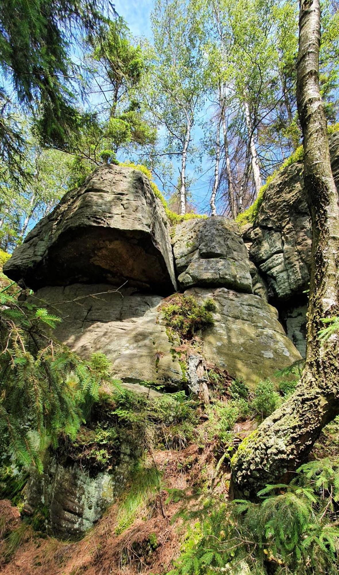 Chata Zieleniecka Bed & Breakfast Duszniki Zdrój Eksteriør bilde